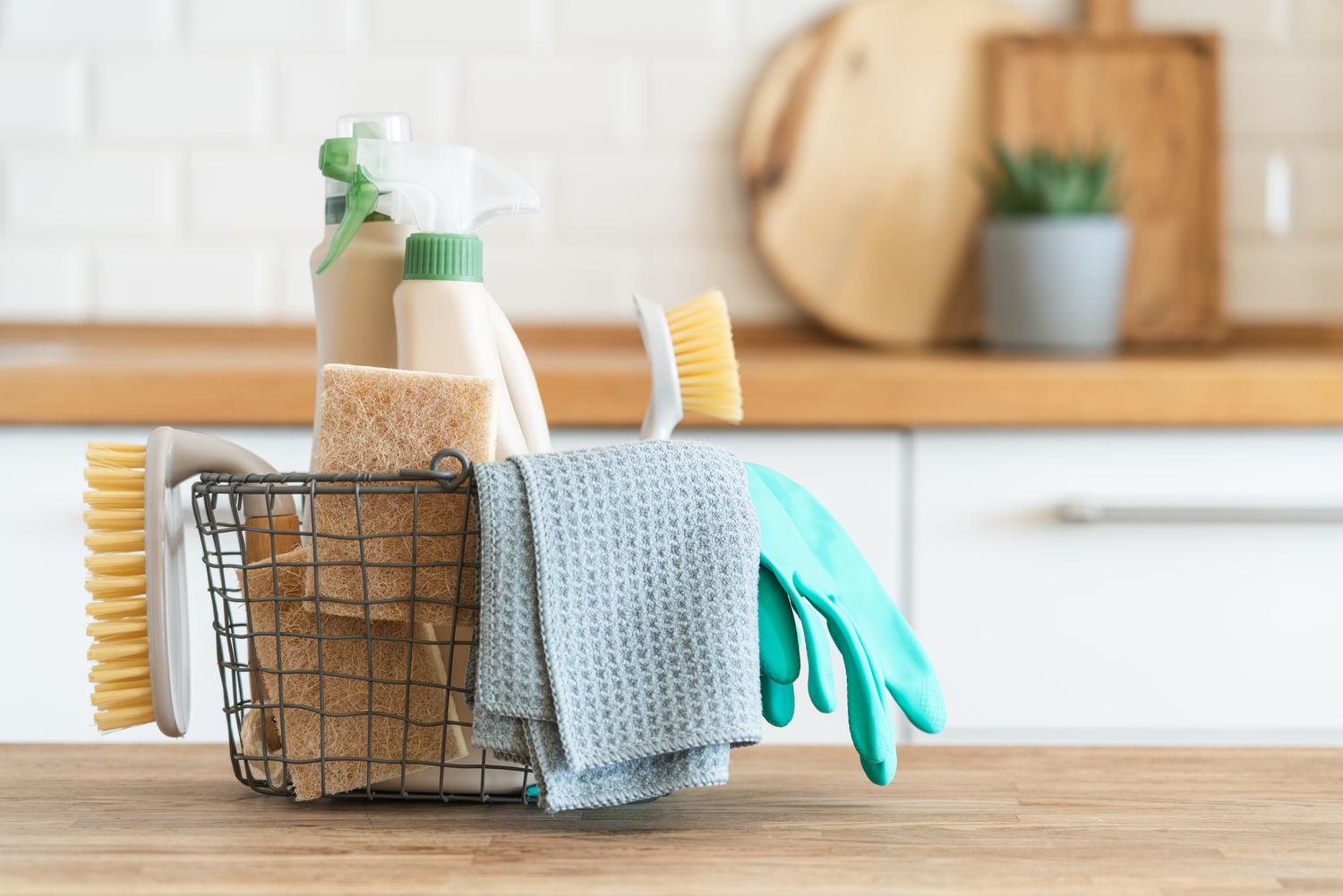 Everyday Cleaning Tools: How to Choose the Right Tools for Your Home